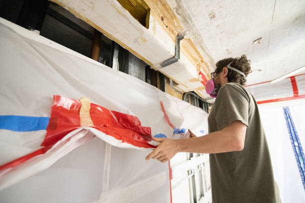 Trusted Dakota Ridge, CO Mold Removal Experts