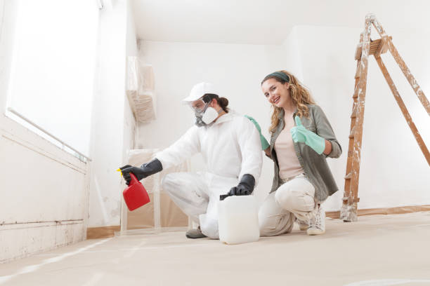 Best Basement Mold Removal  in Dakota Ridge, CO